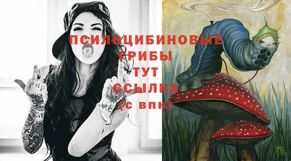 бошки Абинск