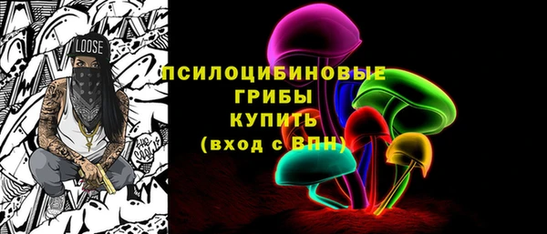 бошки Абинск