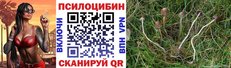 Псилоцибиновые грибы GOLDEN TEACHER  мориарти телеграм  Исилькуль 